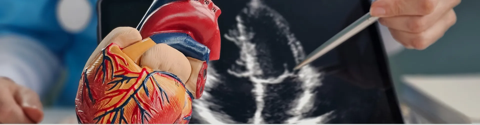 Echocardiography (ECHO): Preparation, Procedure, Risk & Benefits