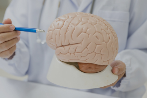 Hydrocephalus