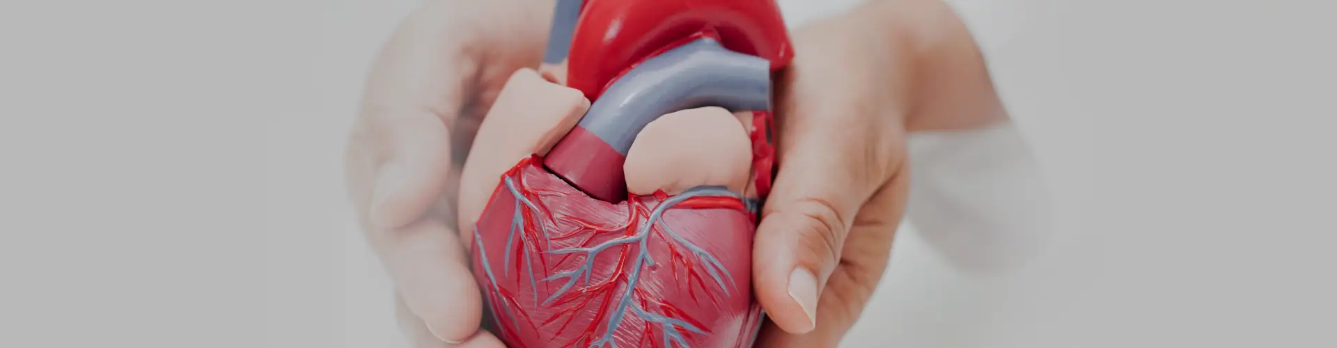 Atrial Septostomy: Types, Symptoms, Causes, Diagnosis & Treatment