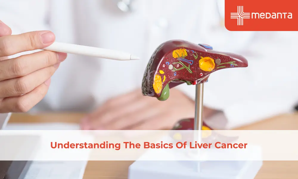Understanding The Basics Of Liver Cancer