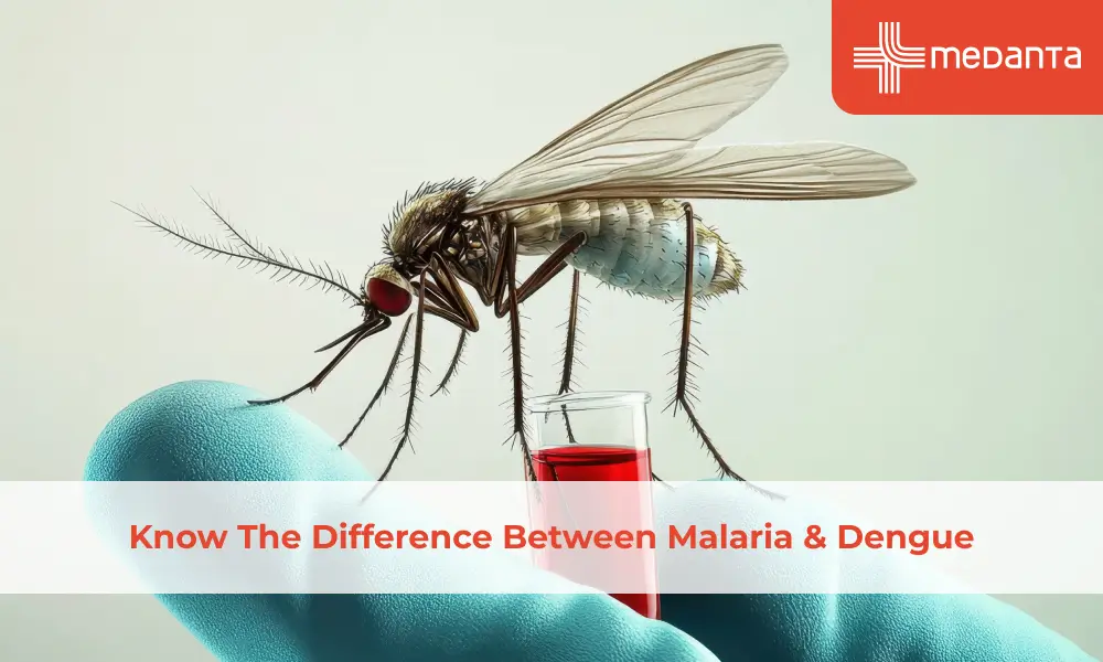 Know The Difference Between Malaria & Dengue
