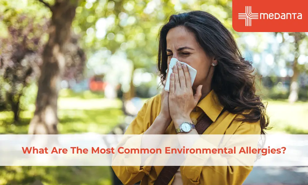 What Are The Most Common Environmental Allergies?