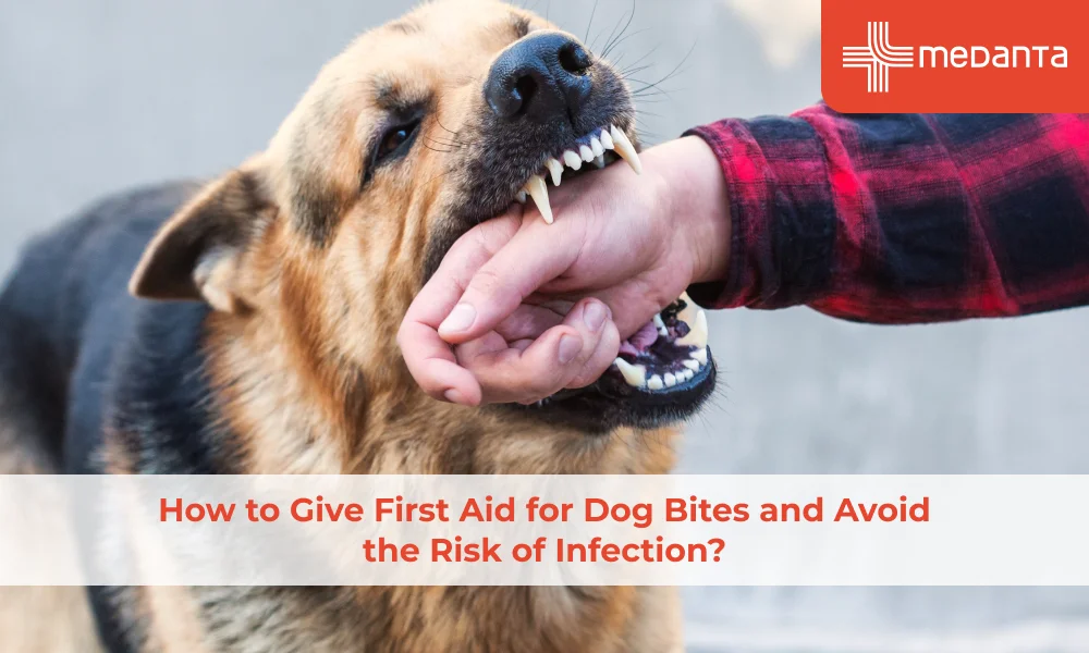 First Aid for Dog Bites