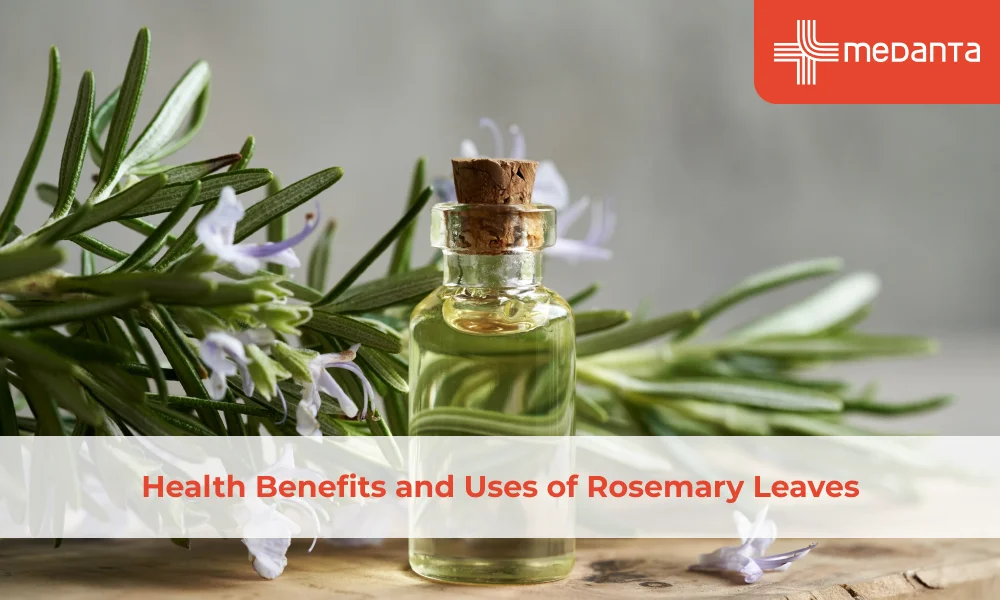 Health Benefits and Uses of Rosemary Leaves