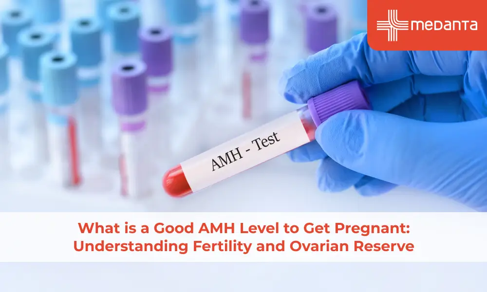 what-is-a-good-amh-level-for-fertility