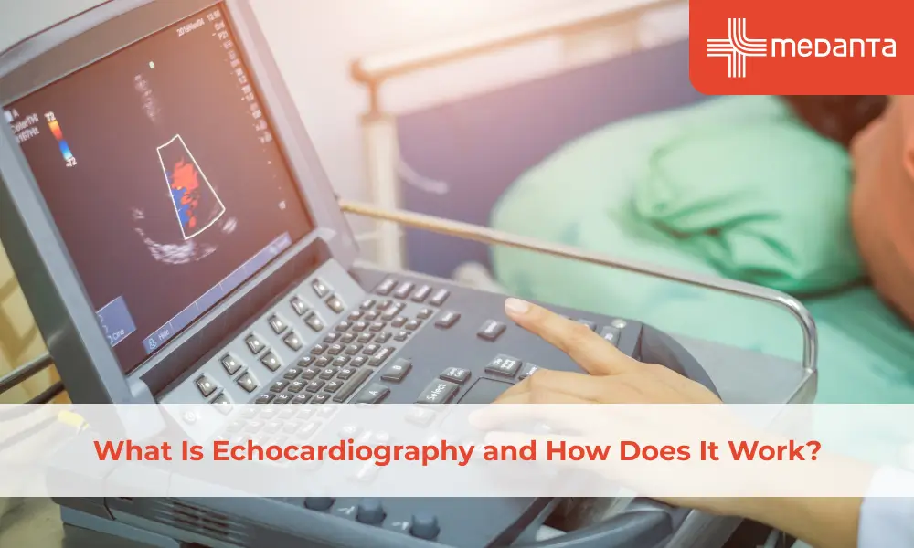 know-more-about-echocardiography