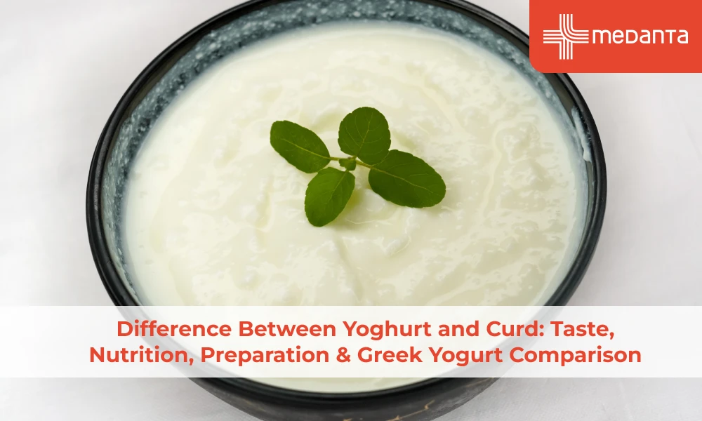 difference-between-yoghurt-and-curd-taste-nutrition-preparation-greek-yogurt-comparison