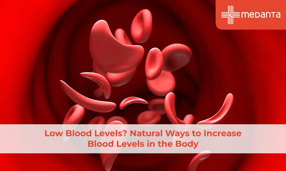 Low Blood Levels? Natural Ways to Increase Blood Levels in the Body