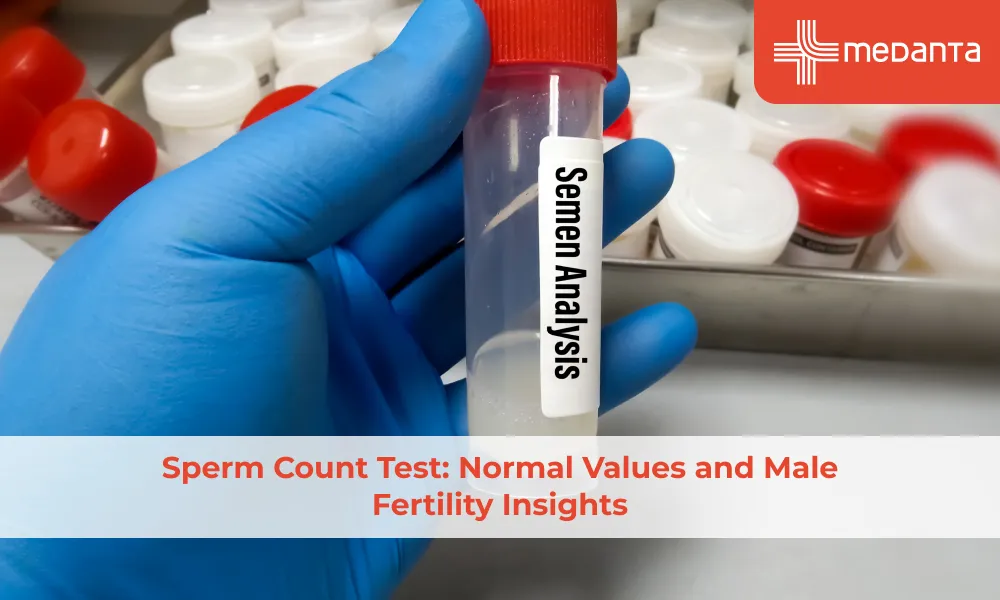 sperm-count-test-normal-values-and-male-fertility-insights
