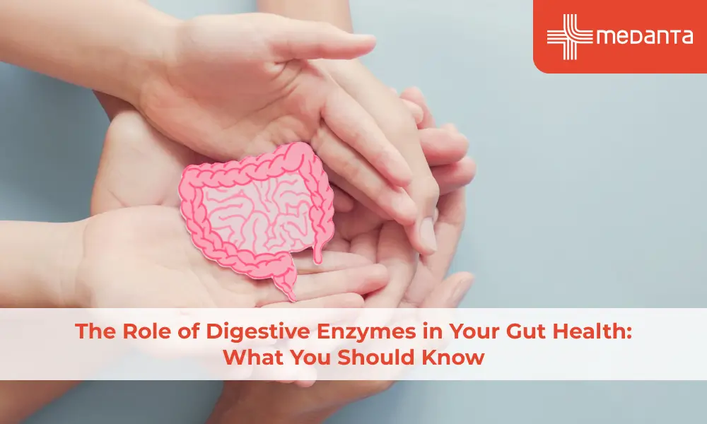 The Role of Digestive Enzymes in Your Gut Health: What You Should Know
