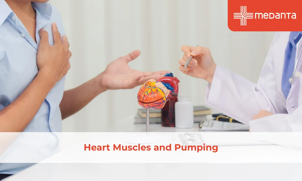 Heart Muscles and Pumping