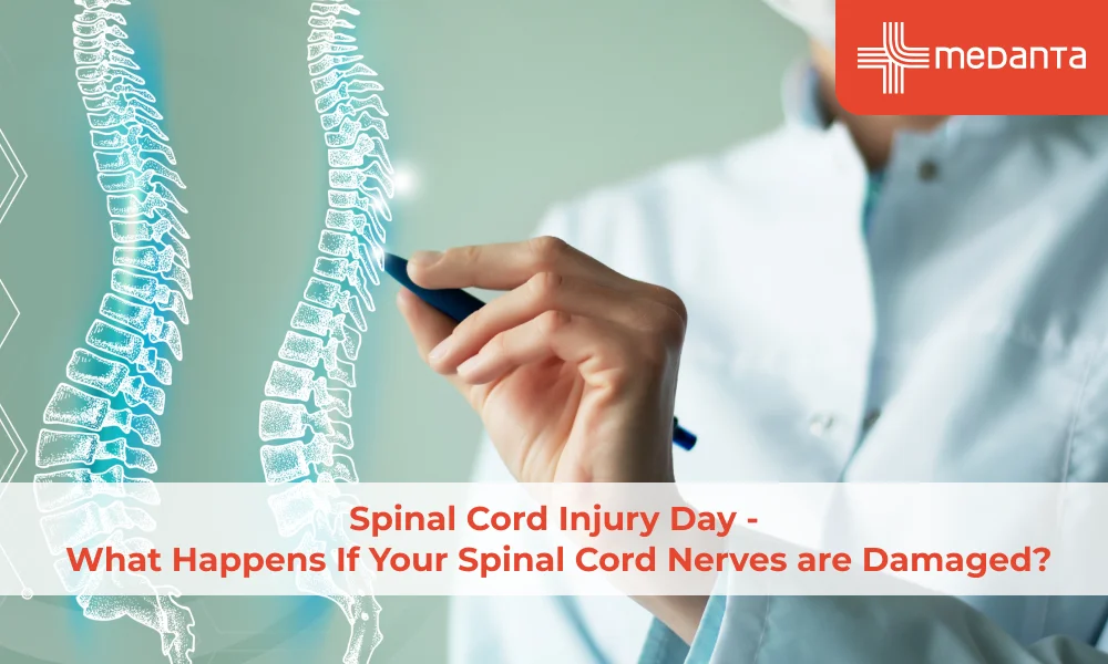 Spinal Cord Injury Day - What Happens If Your Spinal Cord Nerves are Damaged?