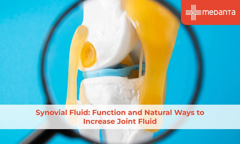 Synovial Fluid: Function and Natural Ways to Increase Joint Fluid