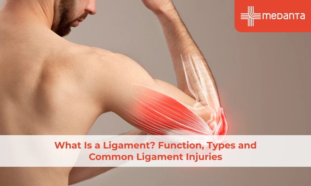 What Is a Ligament? Function, Types and Common Ligament Injuries