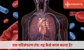 रक्त परिसंचरण तंत्र