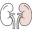 Kidney & Urology Institute