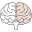 Institute of Neurosciences