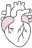 Heart Institute
