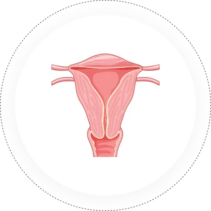 Obstetrics