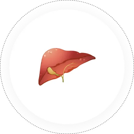 Hepatology