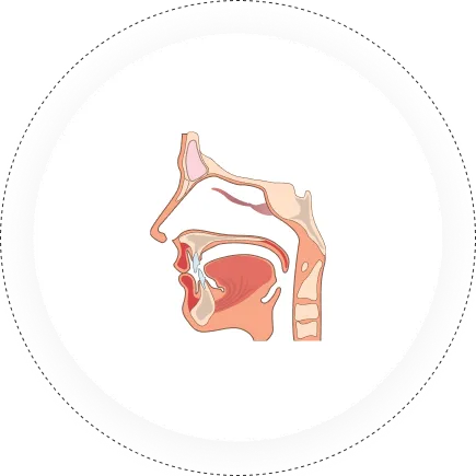 Head & Neck cancer