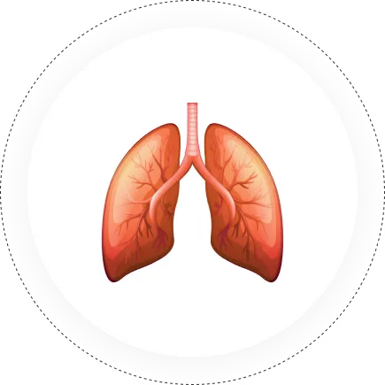 Respiratory Medicine