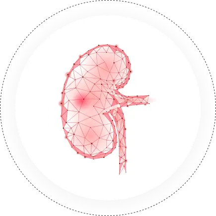Uro-Oncology