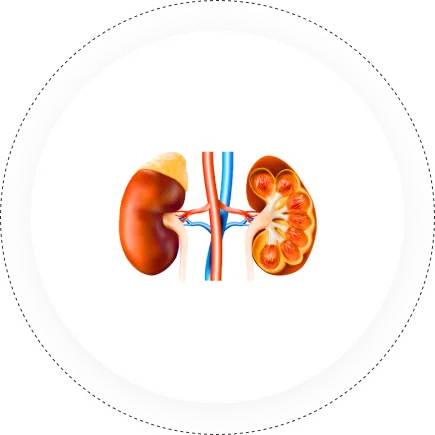 Renal Care