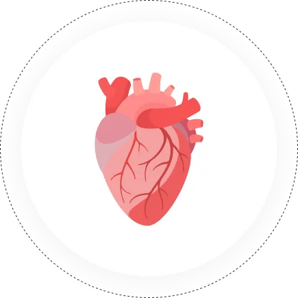 Clinical & Preventive Cardiology