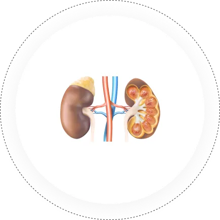 Nephrology