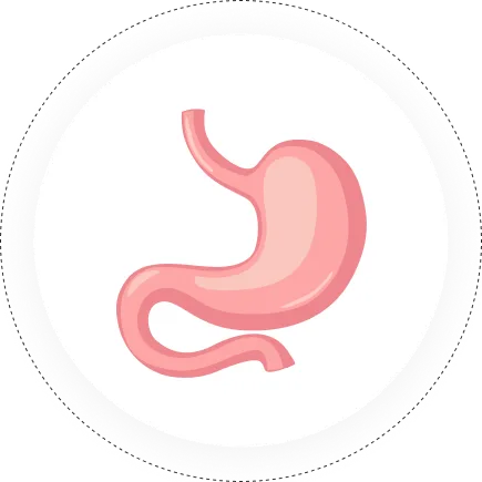 Gastrosciences