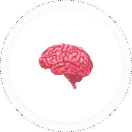 Neurosciences