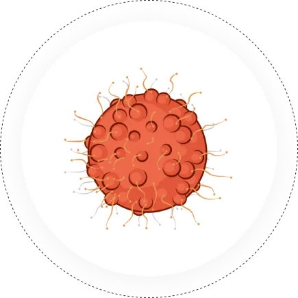 Cancer Care