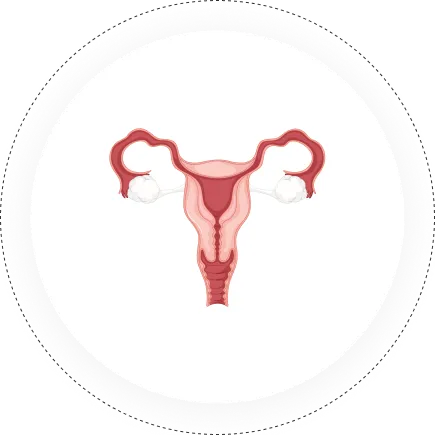 Gynaecology and GynaeOncology
