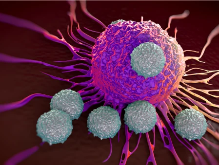 Donor Lymphocyte Infusion 