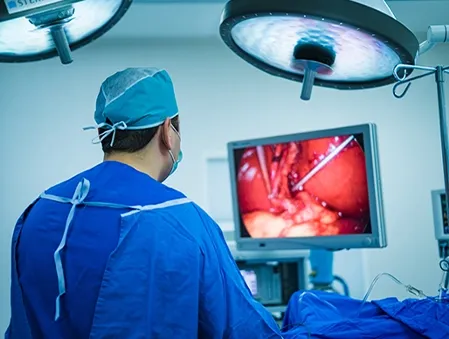 Pleuroscopy