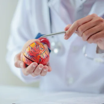 Vascular Repair & Bypass