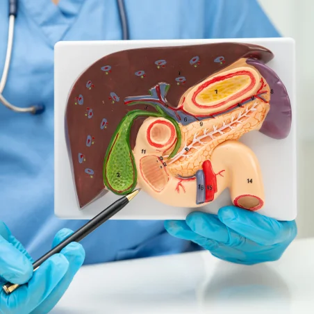 Robotic Appendectomy