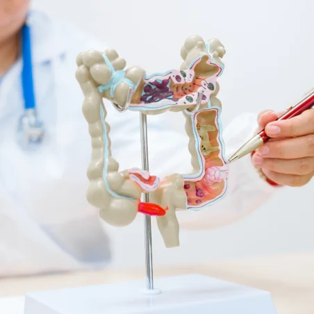 Advanced Gastrointestinal Interventions