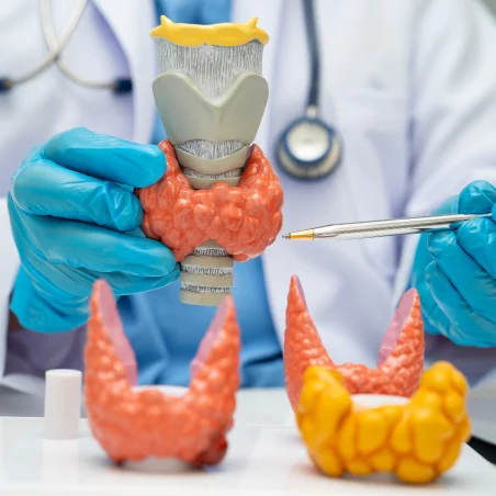 Diabetes, Hypertension & Thyroid Disorders