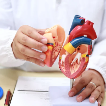Valve Repair & Replacement Surgery