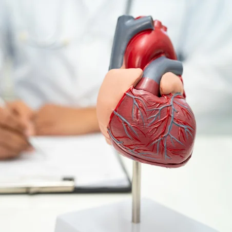 Advanced Heart Failure