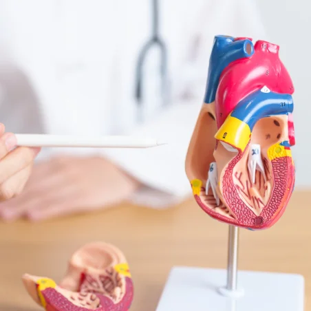 Coronary Artery Disease