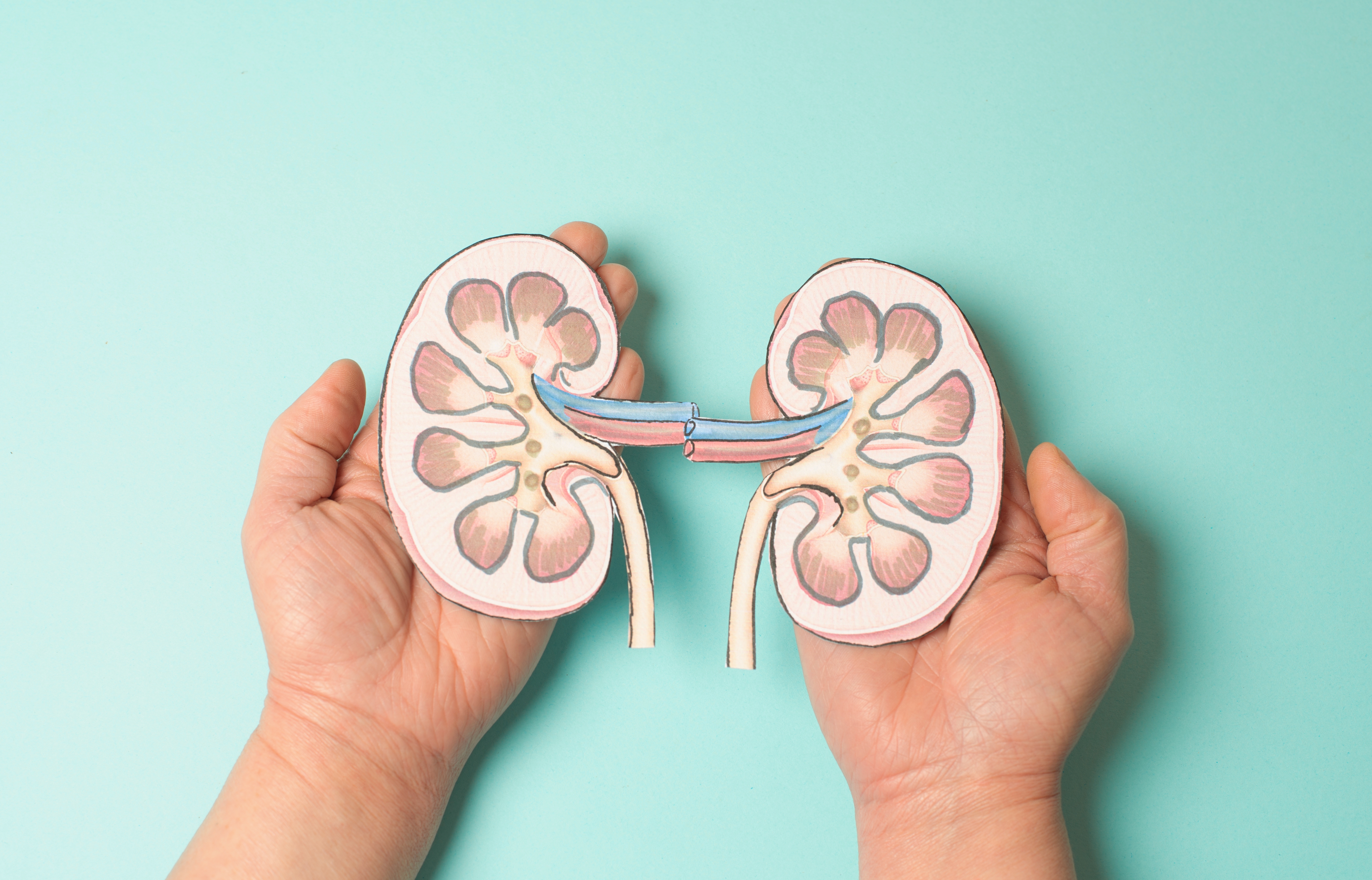 Dialysis & Renal Failure Management