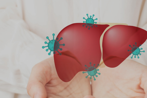 Hepatitis