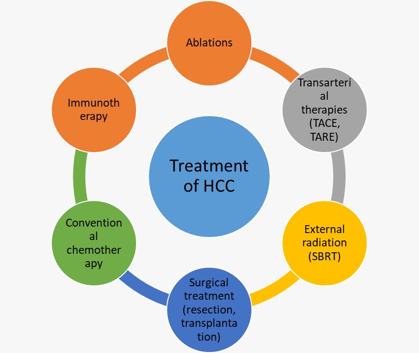 Holistic management of liver cancers