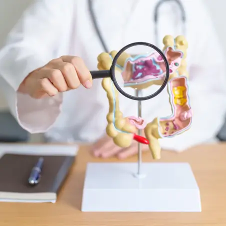 gastrointestinal-cancers