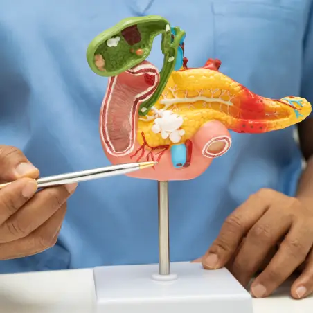 liver-pancreatic-disorders