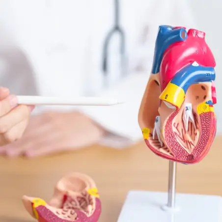 valvular-heart-disease