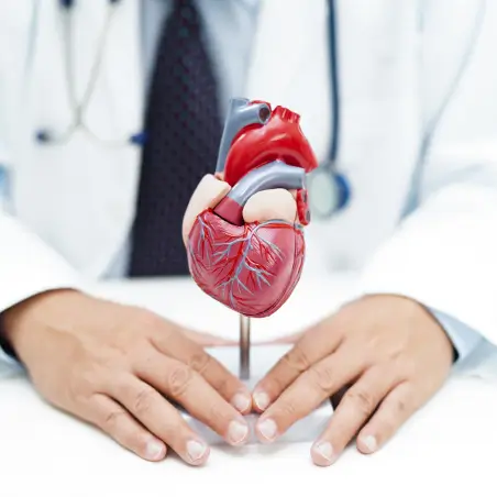 paediatric-adult-cardiac-surgery